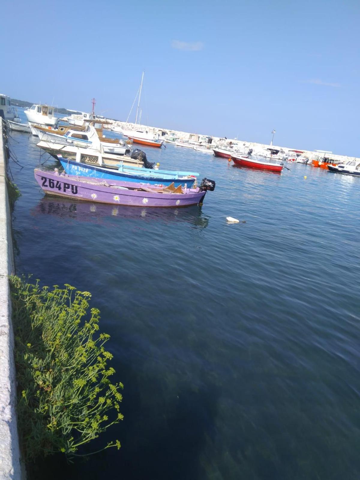 Hotel Villa Vera 2 Fažana Zewnętrze zdjęcie